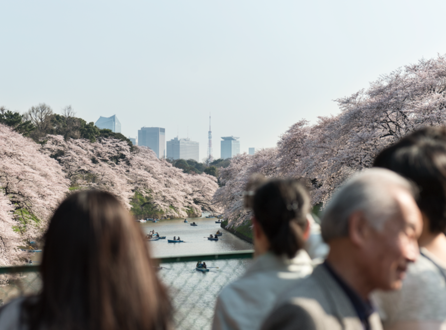 Discover Japan: Whisky, Gin und Sake